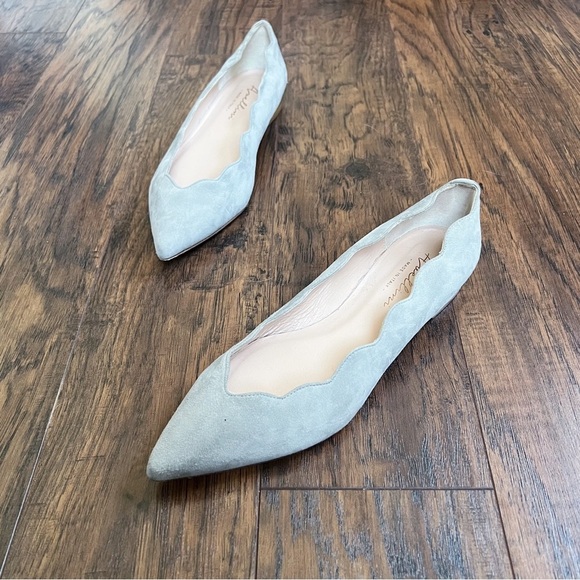Avellini • Cora flats scalloped grey suede leather pointed toe low heel - Picture 1 of 11